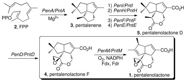 Scheme 1