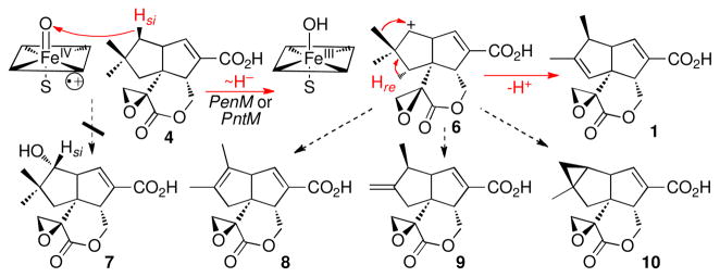 Scheme 2