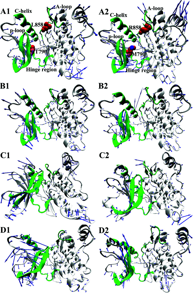 Fig. 5