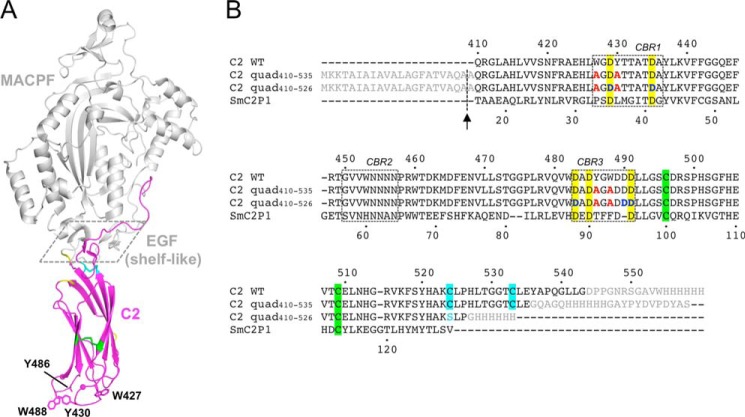 FIGURE 1.