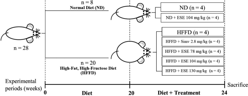 Fig. 1