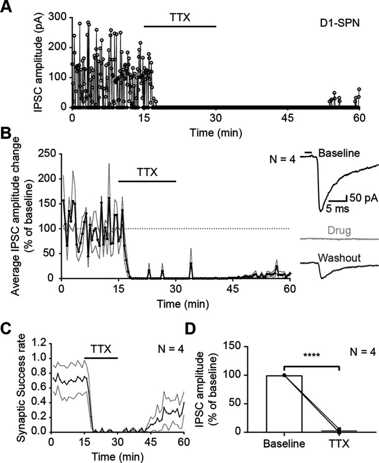 Figure 11.