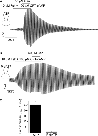 FIGURE 7.