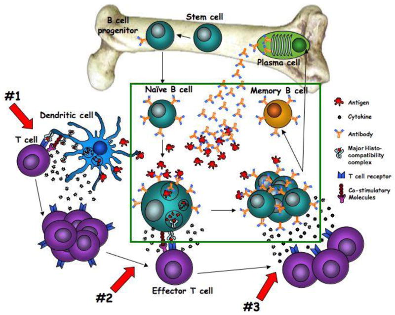 Figure 6