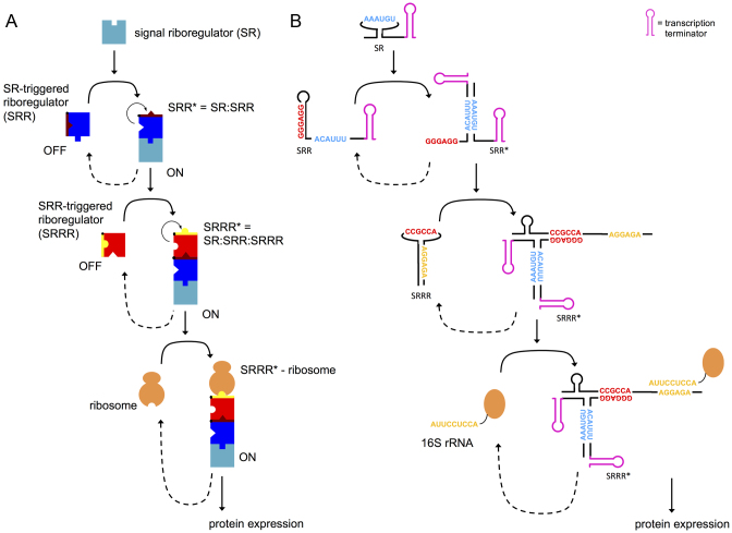 Figure 2.