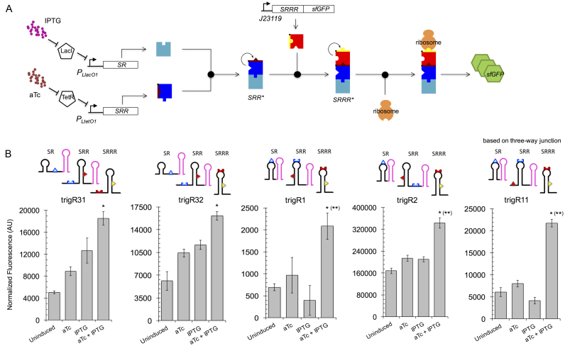 Figure 3.