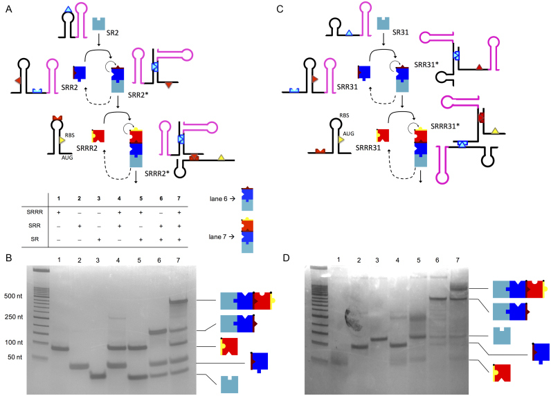 Figure 6.