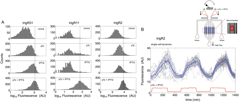 Figure 5.