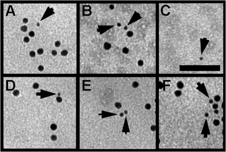 Figure 10.