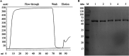 FIG 1