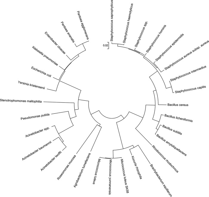 FIG 2