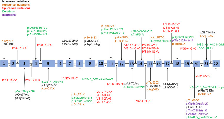 FIGURE 1