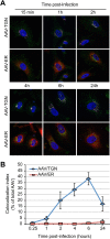 FIG 2