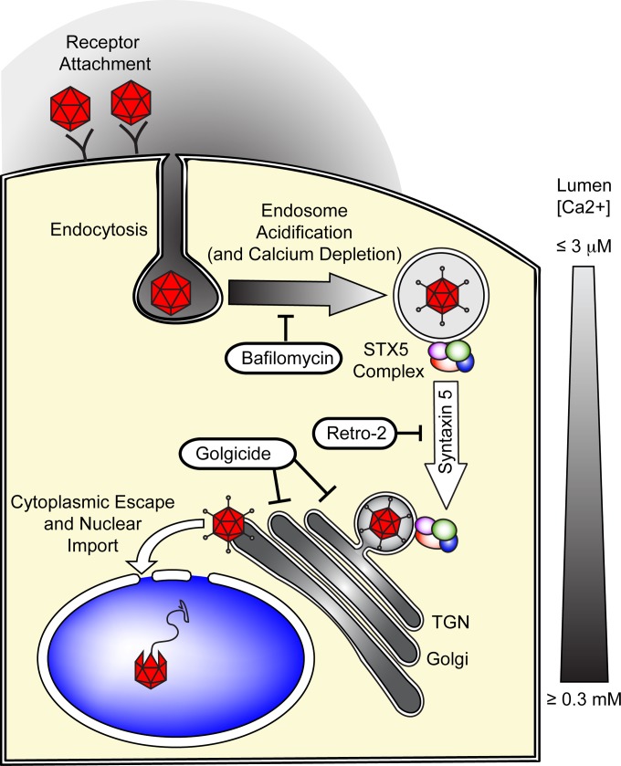 FIG 10