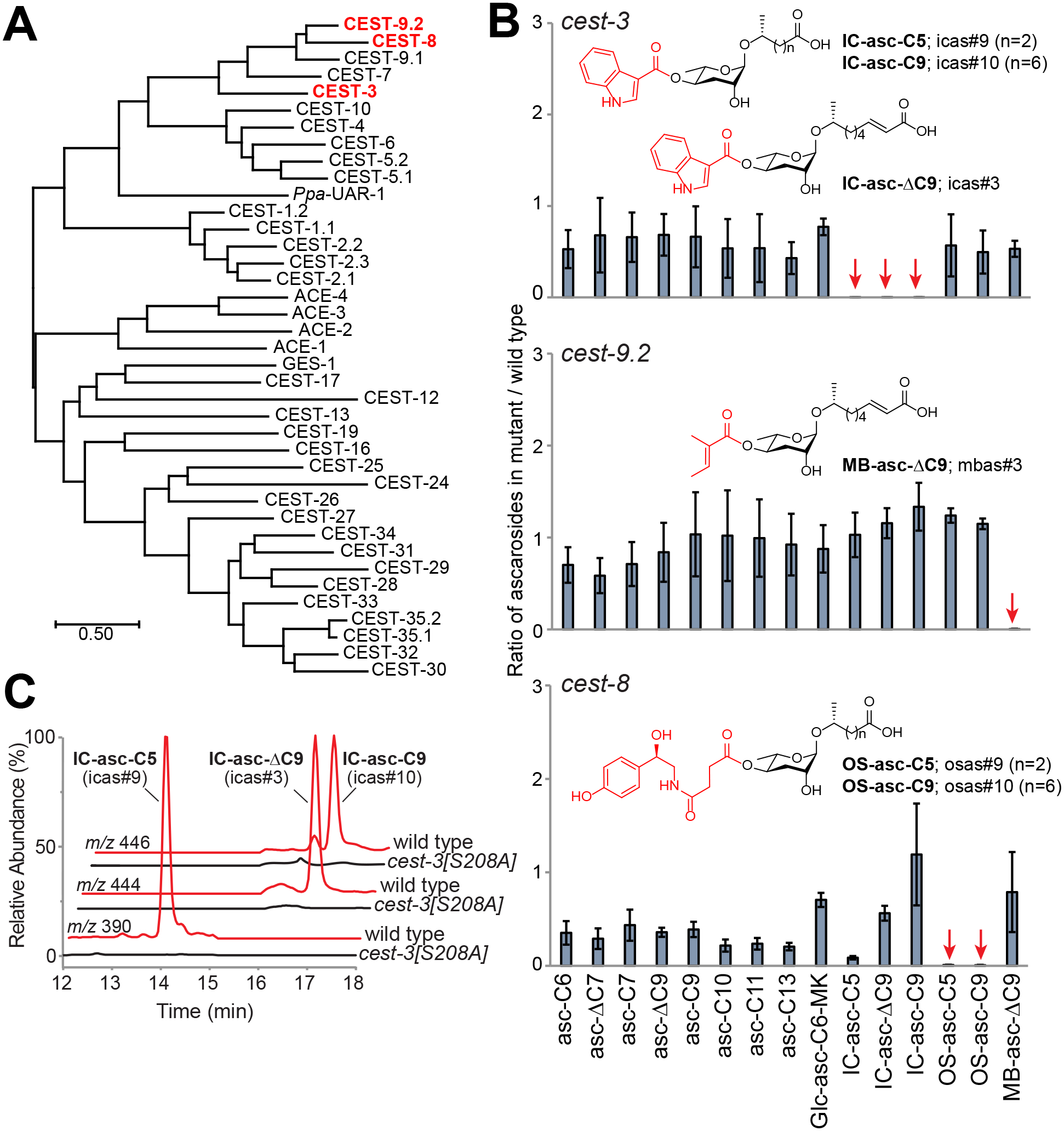 Figure 2.