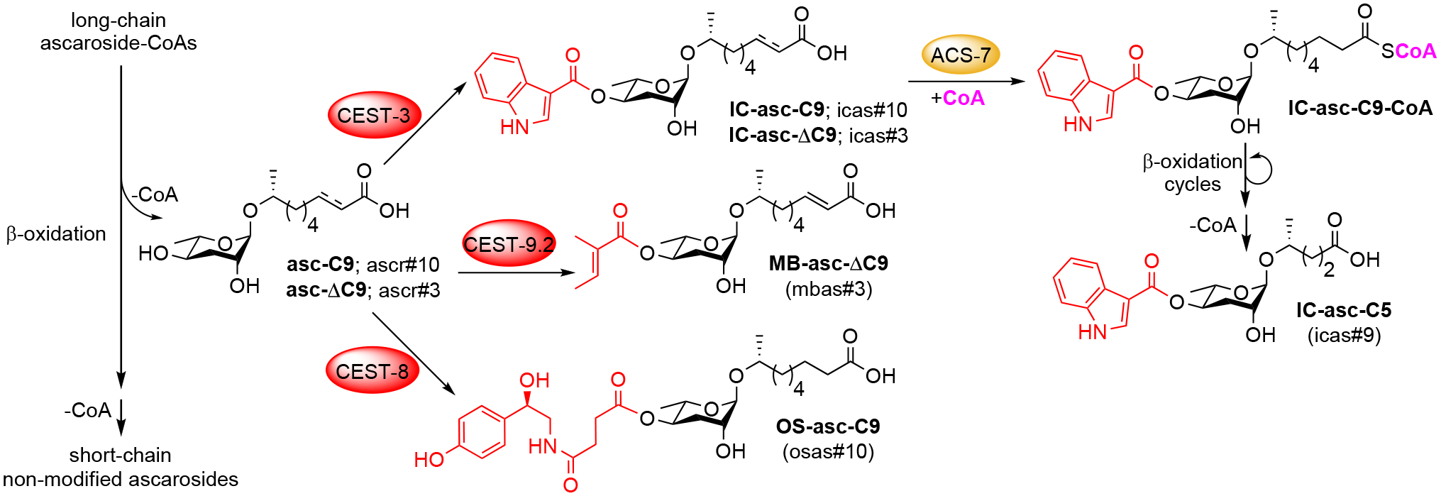 Figure 4.