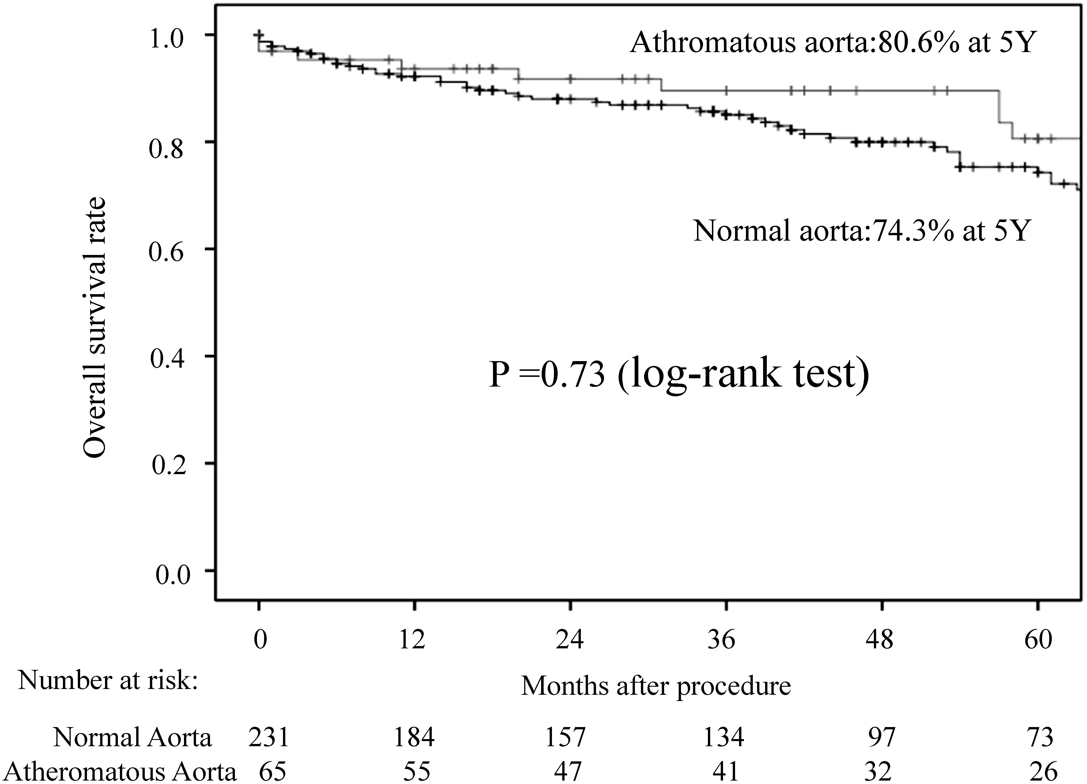 Fig. 2 Kaplan–Meier curves showing the 5-year overall survival rates in patients with normal aorta and in those with atheromatous aorta.