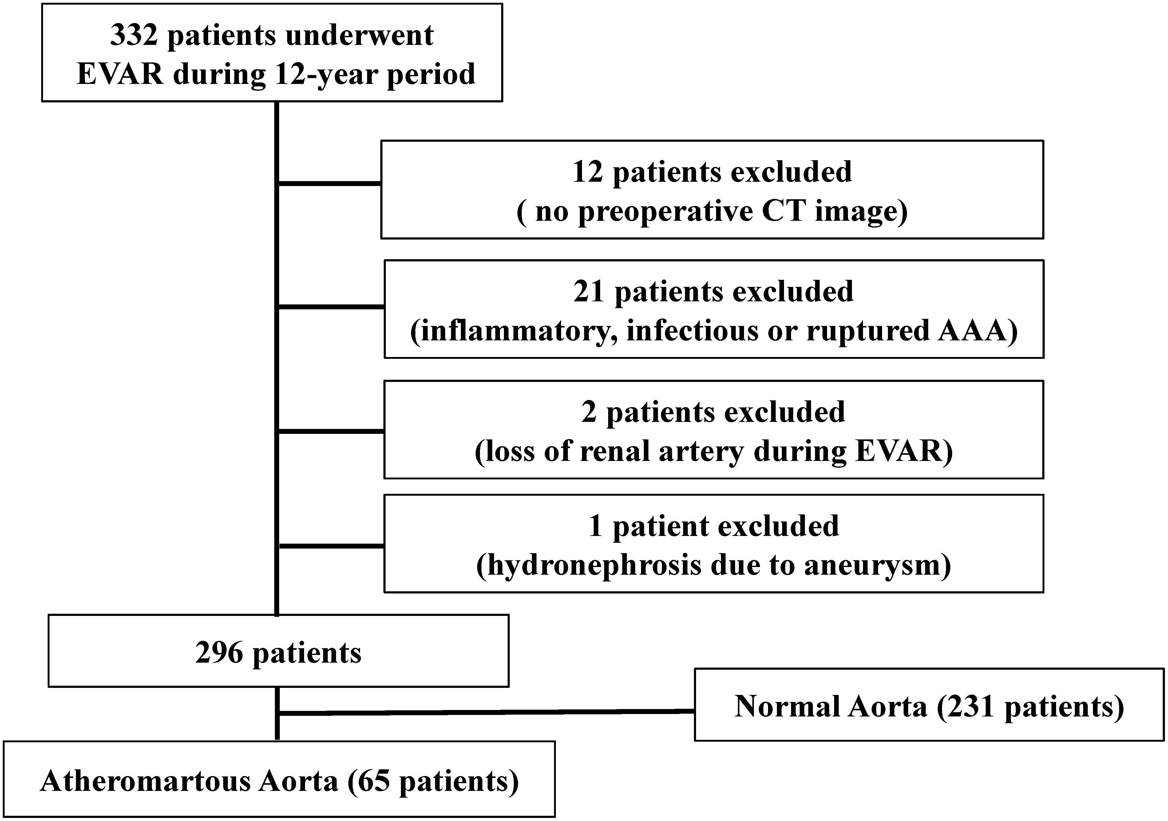 Fig. 1 Flow chart of patients in this study.