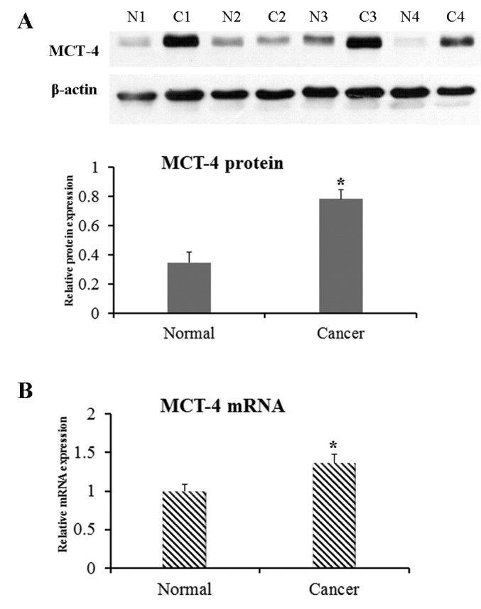 Figure 4.