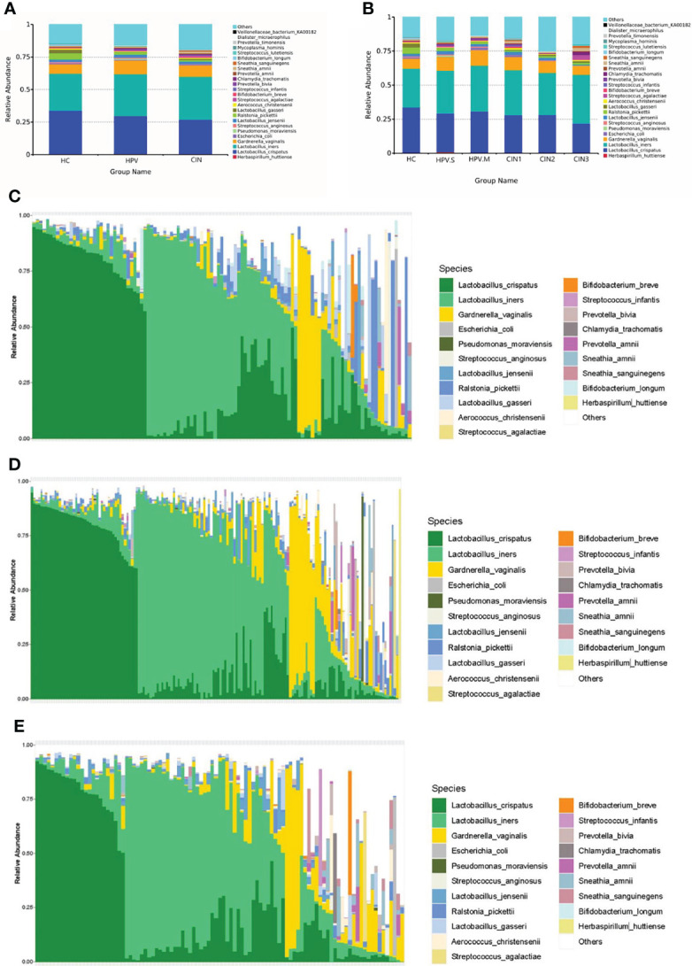 Figure 2