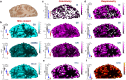 Extended Data Fig. 4 |