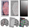 Extended Data Fig. 8 |