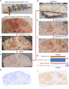 Extended Data Fig. 1 |