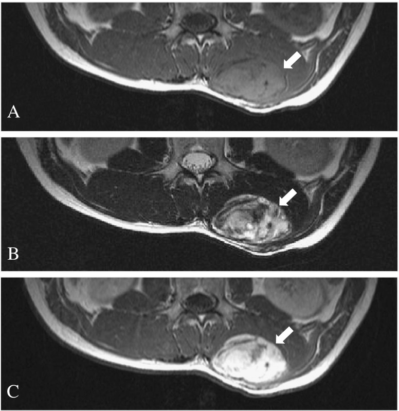 Fig. 2