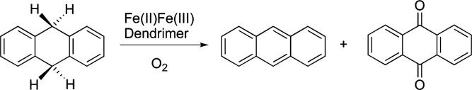 Scheme 5