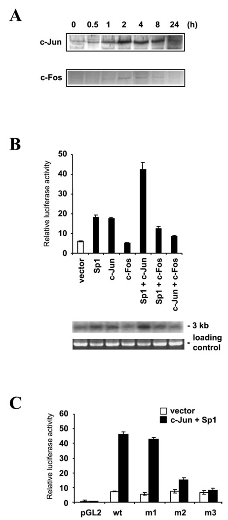 FIG. 5