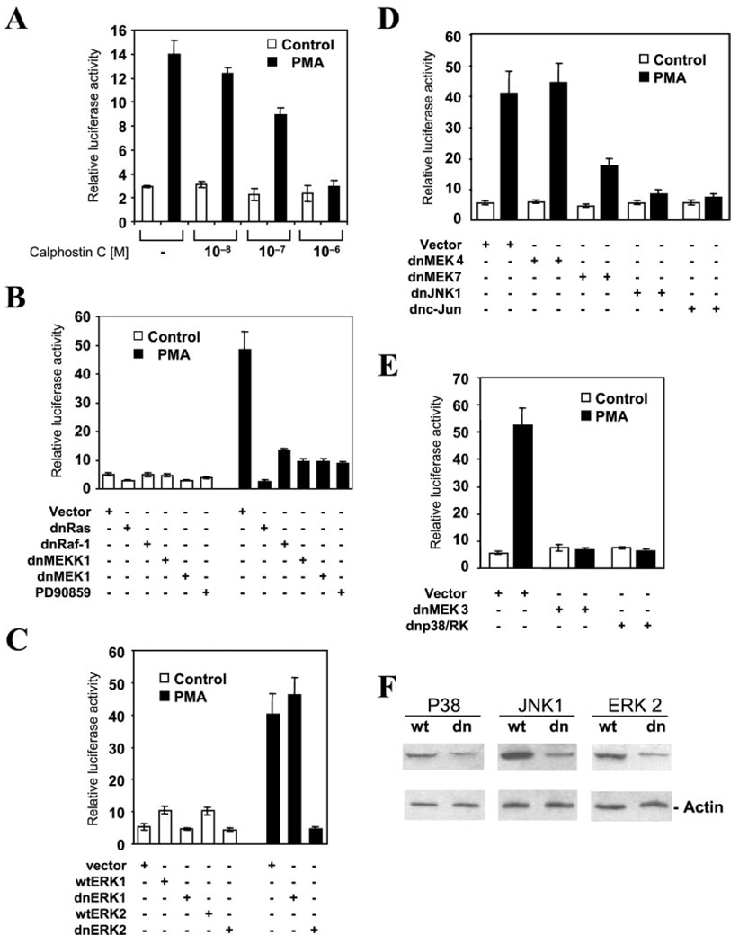 FIG. 6