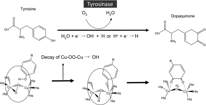 Fig. 3