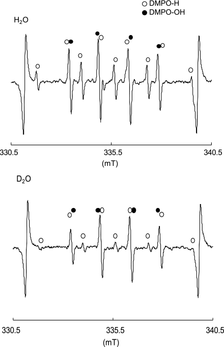 Fig. 2