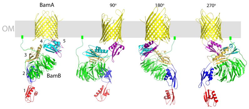 Figure 7