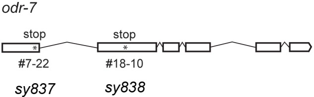 Figure 6—figure supplement 1.