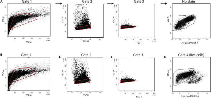 Figure 2