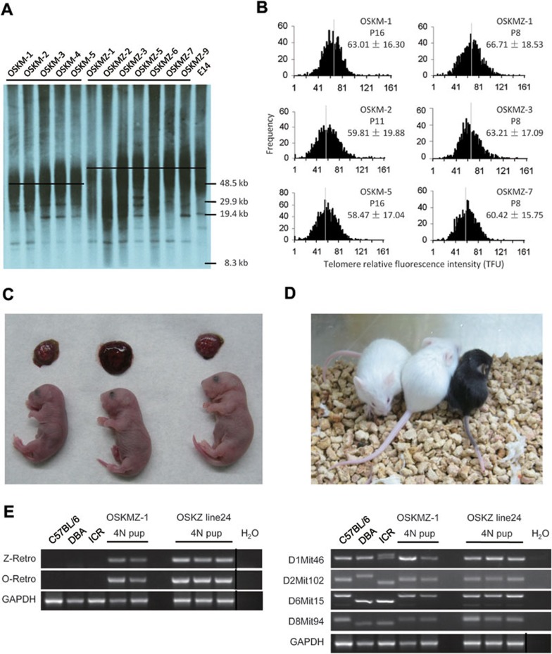 Figure 6