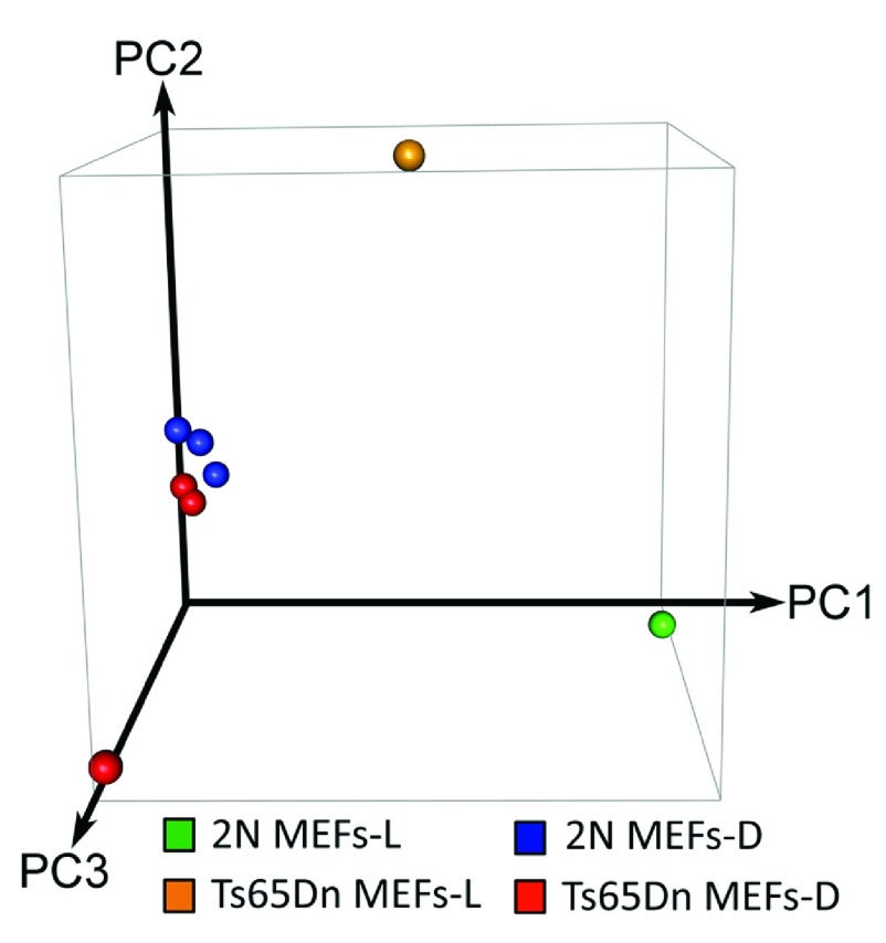 Figure 1D. 