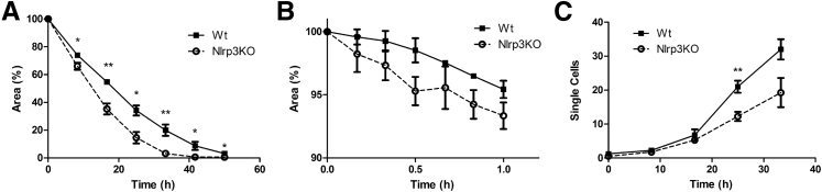 Figure 7