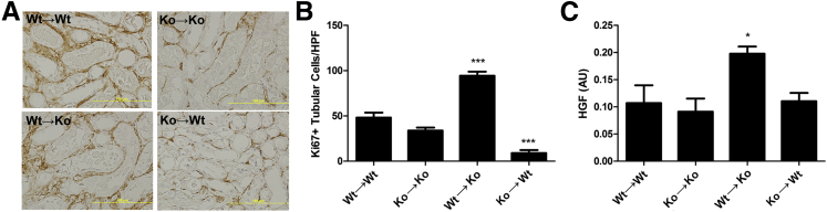 Figure 6