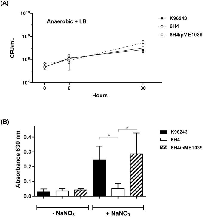 Fig 4