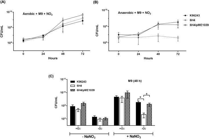 Fig 3