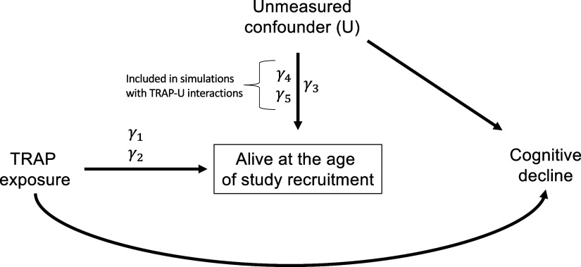 Figure 2 is conceptual directed acyclic graph that was used for pre-baseline survival bias simulations. The graph shows that the effect of traffic-related air pollution on the probability of being alive at the age of study recruitment was categorized into three levels and modeled with two parameters corresponding to medium exposure [lowercase gamma begin subscript 1 end subscript] and high exposure [lowercase gamma begin subscript 2 end subscript] in reference to low exposure. Further, the graph shows that an unmeasured confounder (U) is hypothesized to affect the probability of being alive at the age of study recruitment through the model parameter lowercase gamma begin subscript 3 end subscript. Finally, the graph shows that for some simulations, traffic-related air pollution and U were hypothesized to jointly affect the probability of being alive at the age of study recruitment, with the relevant interaction terms being lowercase gamma begin subscript 4 end subscript and lowercase gamma begin subscript 5 end subscript.