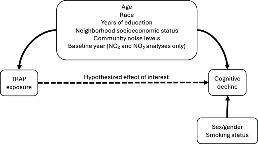 Figure 1 is a directed acyclic graph. The graph shows that traffic-related air pollution is hypothesized to affect cognitive decline. The graph also shows that age, race, years of education, neighborhood socioeconomic status, community noise levels, and baseline year (oxides of nitrogen and nitrogen dioxide only) are assumed to confound the relationship between exposure to traffic-related air pollution and cognitive decline. In addition, the graph shows that sex or gender, plus smoking status, are hypothesized to be precision variables that affect cognitive decline, but not traffice-related air pollution exposure.