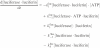 graphic file with name gnh159equ22.gif