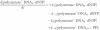 graphic file with name gnh159equ9.gif