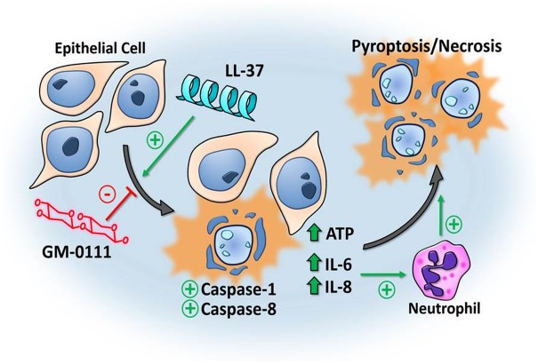 Fig 6