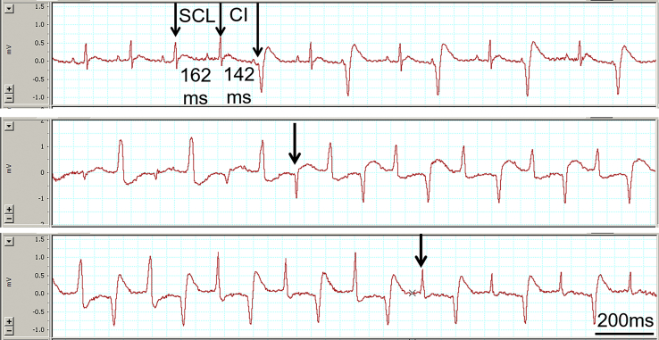 Figure 3