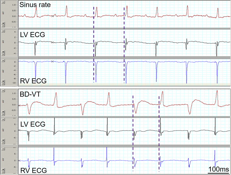 Figure 5