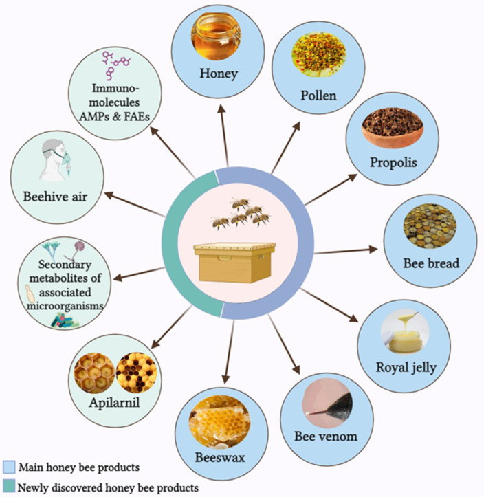 Image, graphical abstract
